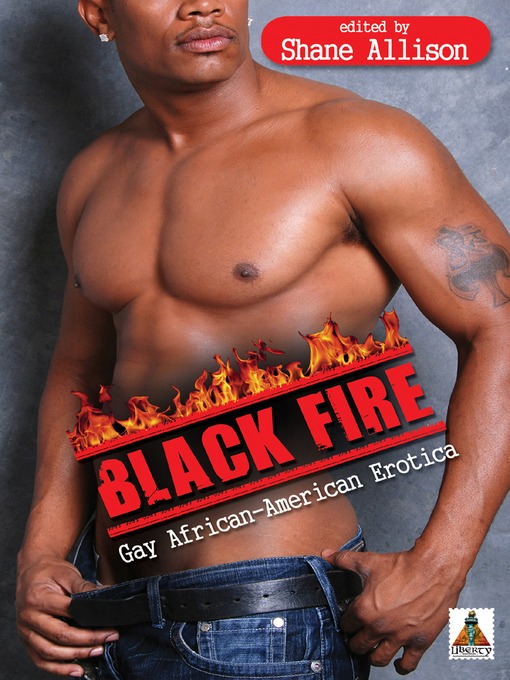 Title details for Black Fire by Shane Allison - Available